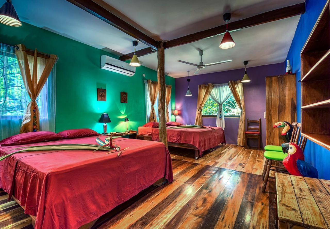 Congo Bongo Ecovillage Costa Rica Puerto Viejo de Talamanca Extérieur photo