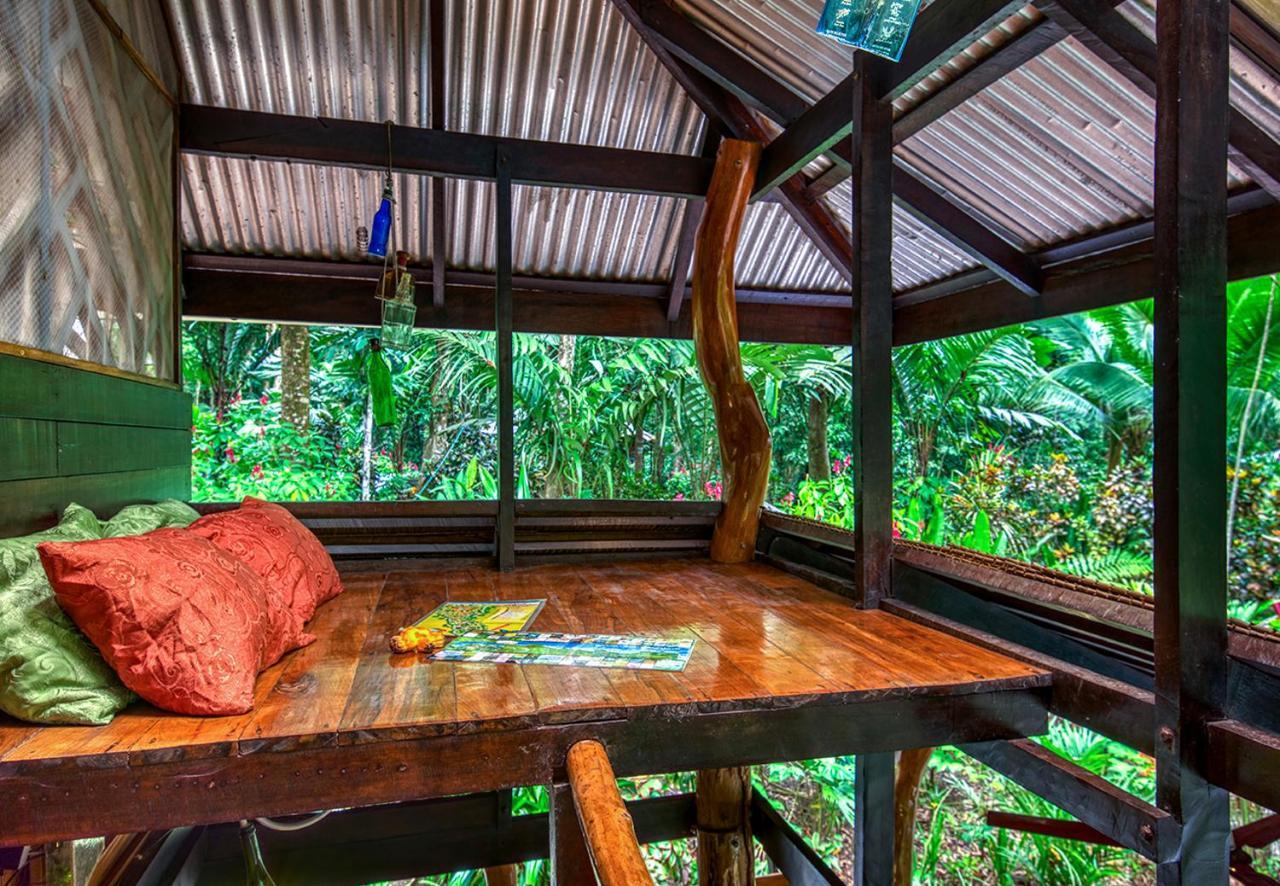 Congo Bongo Ecovillage Costa Rica Puerto Viejo de Talamanca Extérieur photo