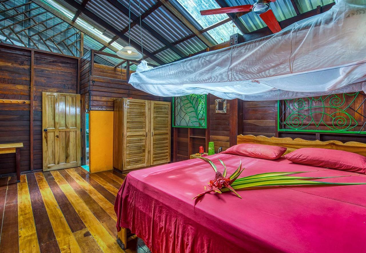 Congo Bongo Ecovillage Costa Rica Puerto Viejo de Talamanca Extérieur photo