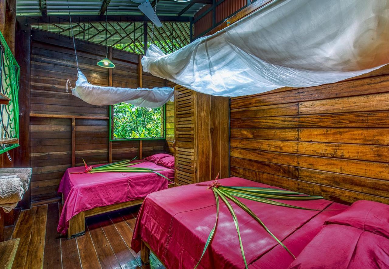 Congo Bongo Ecovillage Costa Rica Puerto Viejo de Talamanca Extérieur photo
